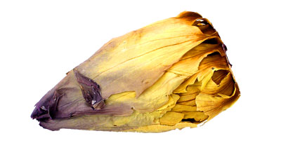 lotusblueten-tee lotusblueten-tee