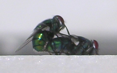 Sextip Sexpositionen