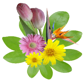 Blumenstr2