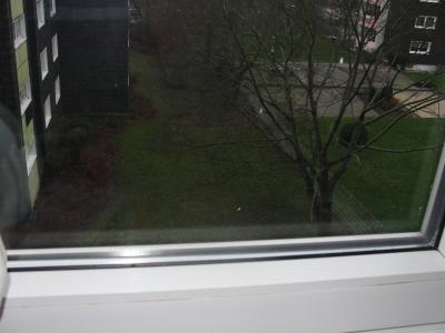 ruhig<br />
wach?l<br />
hell,lebendig?<br />
freude,in bewegung sein, alltag ,funktionieren <br />
Am Tag!!!!