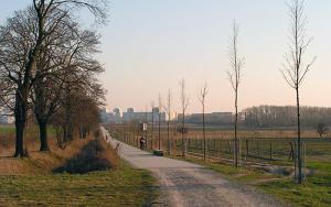 Wartenberg