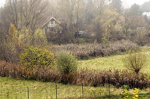 rohrpfuhl_kaulsdorf