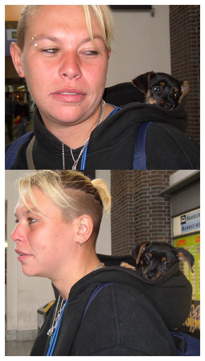 Hund-in-Kapuze
