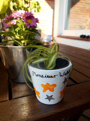 Monsieur-Waldemar-Spock