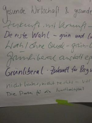 Sammlung von Wahlkampfsprüchen bei einer GLP Sitzung in Luzern Sammlung von Wahlkampfsprüchen bei einer GLP Sitzung in Luzern