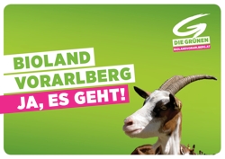 Bioland-Ziege