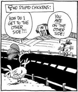 Chicken_FPOe