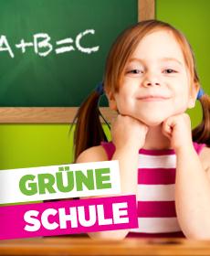 Gruene-Schule1