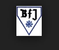 Kornblume_BfJ