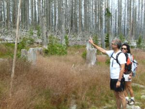 WaldsterbenBoehmerwald09-08-10