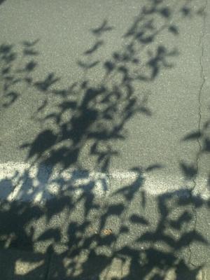 1185769_10151822918914255_1274813114_n