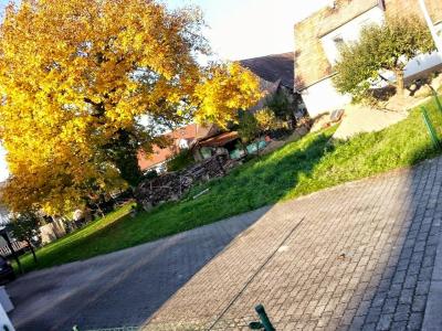 12187763_10153767241889255_3785121518656494316_n