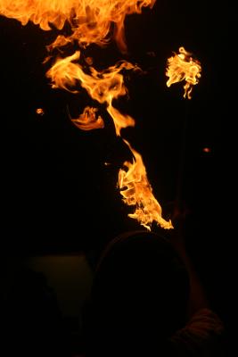 IMG_1262