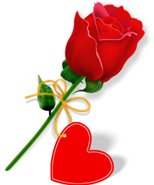 gulde_asil_kalp_icinde_seni_seviyorum_yazi