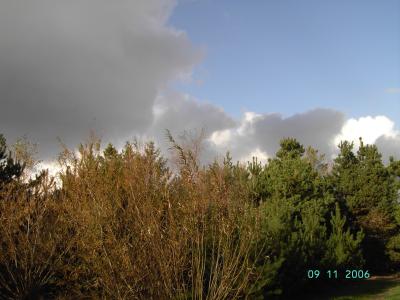 PICT0512