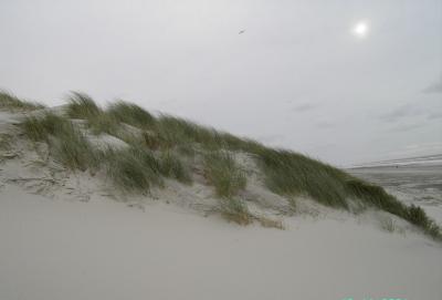 PICT0536