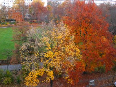 herbst