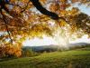 herbst1