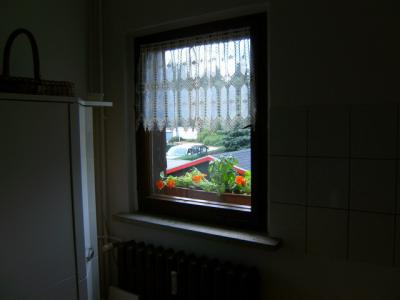 kuechenkraeuter-bodewegPICT0194