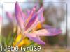 050324_2000_liebe_gruesse