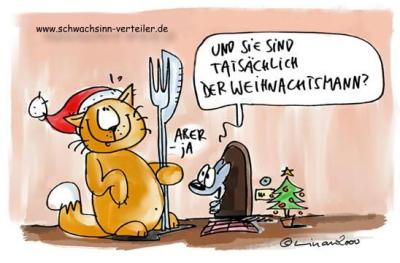 Weihnachten-Katze