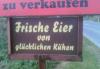 frische_Eier