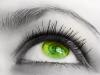 greeneye1