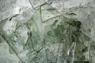 342929338_e9823a229f