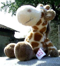 giraffe