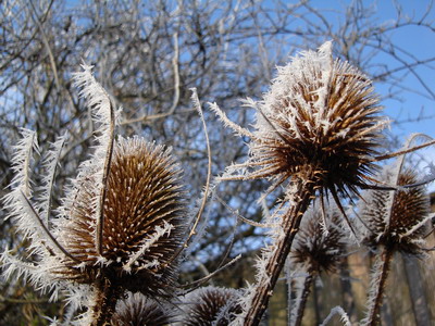 DSC00086b