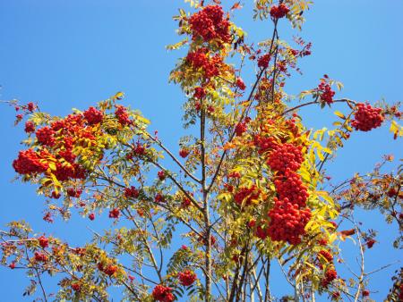 herbstzauber_1