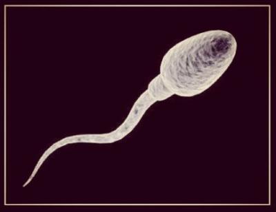 oldpic
