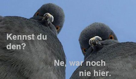 kennst