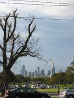 Albert-Park