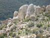 Felsen