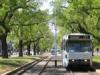 Trams