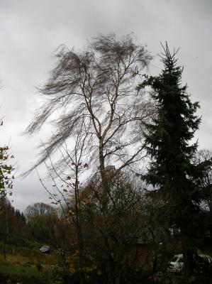 Allerheiligen-2010-012