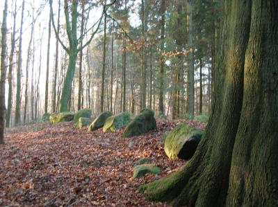 Allerheiligen-2011-010