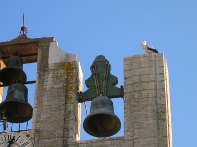 Allerheiligen-2011-077