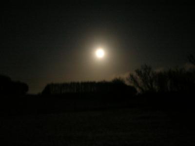 Allerheiligen-2011-097