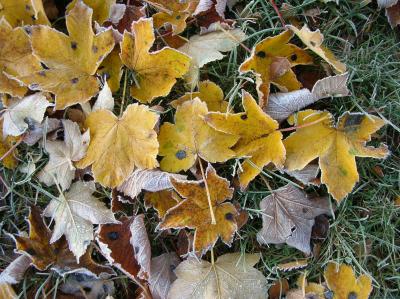 Allerheiligen-2012-003