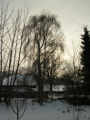 Allerheiligen-2012-012