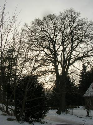 Allerheiligen-2012-013