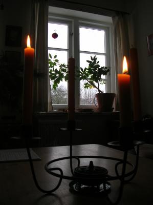 Allerheiligen-2012-014