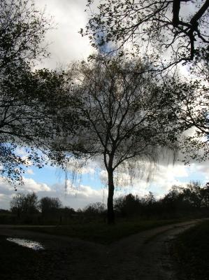 Allerheiligen-2013-009