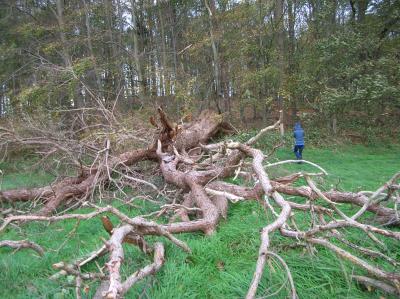 Allerheiligen-2013-020