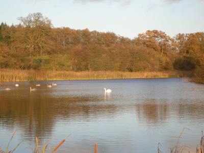 Allerheiligen-2013-031