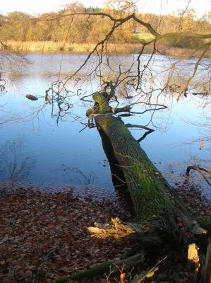 Allerheiligen-2013-036