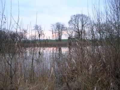 Allerheiligen-2013-053