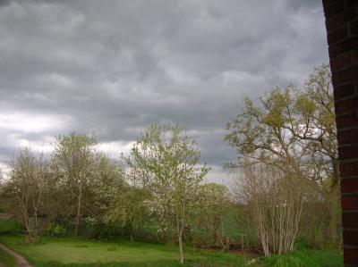 DSCN4831
